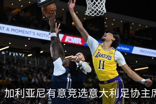 加利亚尼有意竞选意大利足协主席，局势渐趋明朗